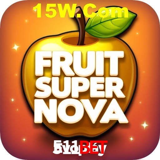 Interface Premium 511Bet